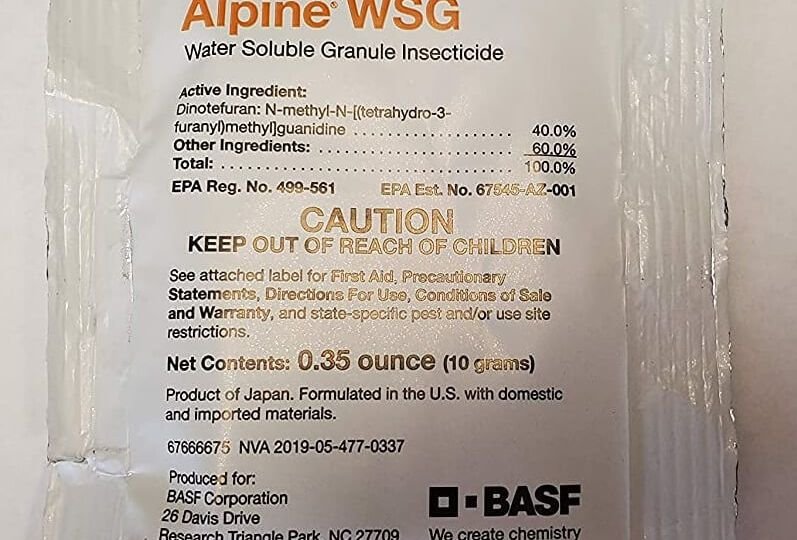 : Alpine WSG – Performance Meets Precision