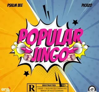 Picazor Explained: What It Is, Why It Matters, and How People Use It