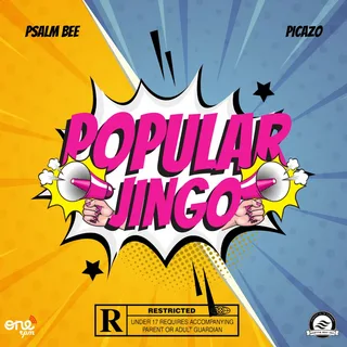 Picazor Explained: What It Is, Why It Matters, and How People Use It