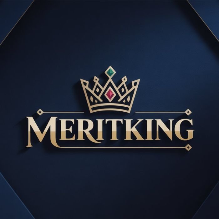 Meritking Explained: Meaning, Uses & Insights