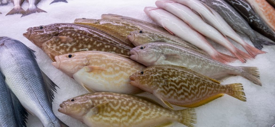 Sand Dabs Guide: Taste, Cooking & Facts