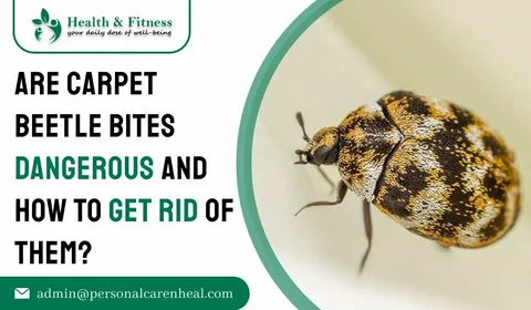 carpet-beetle-bites-causes-symptoms-treatment